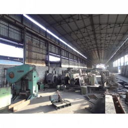 特冶軋鋼產(chǎn)品 尖端技術(shù)與創(chuàng)新成果的全方位展示